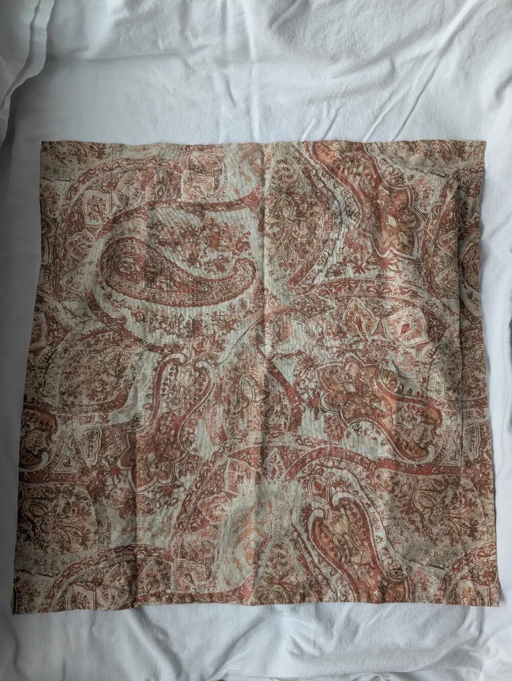 Pottery Barn Paisley Linen Blend Brown Cream Euro Pillow Covers - 2
